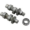 Σετ εκκεντροφόρου TW21 με αλυσίδα ANDREWS PRODUCTS 288121 thumb