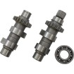 Σετ εκκεντροφόρου TW26A με αλυσίδα ANDREWS PRODUCTS 288126 Σετ εκκεντροφόρου TW26A με αλυσίδα ANDREWS PRODUCTS 288126 thumb