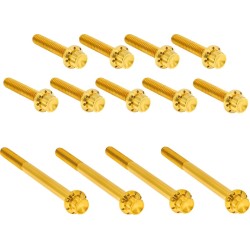 Σετ εξαρτημάτων τιτανίου 12pt primary cover gold ARLEN NESS 300-991