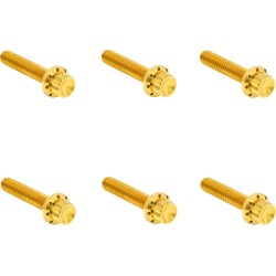 Σετ Στοιχείων Στερέωσης TITANIUM 12-PNT M8G2 για Κάλυμμα Συμπλέκτη GOLD ARLEN NESS 300-702