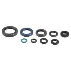 Σετ τσιμουχών κινητήρα ATHENA P400210400126 Σετ τσιμουχών κινητήρα ATHENA P400210400126