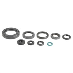Σετ τσιμούχες κινητήρα ATHENA P400210400250 Σετ τσιμούχες κινητήρα ATHENA P400210400250