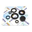 Σετ τσιμούχες κινητήρα ATHENA P400485400125 Σετ τσιμούχες κινητήρα ATHENA P400485400125 thumb