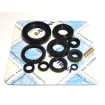 Σετ τσιμουχών κινητήρα ATHENA P400485400267 Σετ τσιμουχών κινητήρα ATHENA P400485400267 thumb