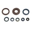 Σετ τσιμούχες κινητήρα ATHENA P400220400128 Σετ τσιμούχες κινητήρα ATHENA P400220400128 thumb