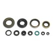 Σετ τσιμούχες κινητήρα ATHENA P400250400256 Σετ τσιμούχες κινητήρα ATHENA P400250400256 thumb