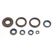 Σετ τσιμούχες κινητήρα ATHENA P400220400252 Σετ τσιμούχες κινητήρα ATHENA P400220400252 thumb