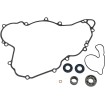 Σετ φλάντζες αντλίας νερού ATHENA P400270475008 Σετ φλάντζες αντλίας νερού ATHENA P400270475008 thumb