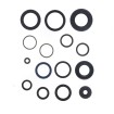 Σετ τσιμούχες κινητήρα ATHENA P400485400503 Σετ τσιμούχες κινητήρα ATHENA P400485400503 thumb