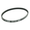 Ιμάντας Μετάδοσης PLATINUM ATHENA S41PLAT008