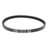 Ιμάντας μετάδοσης PLATINUM ATHENA S41PLAT055