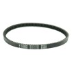 Ιμάντας μετάδοσης PLATINUM ATHENA S41PLAT055 Ιμάντας μετάδοσης PLATINUM ATHENA S41PLAT055 thumb
