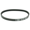 Ιμάντας Μετάδοσης PLATINUM ATHENA S41PLAT042