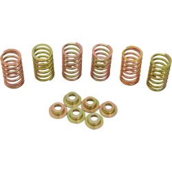 Σετ ελατηρίων συμπλέκτη DUCATI ΑΛΛΑ 505-44-06090 Σετ ελατηρίων συμπλέκτη DUCATI ΑΛΛΑ 505-44-06090