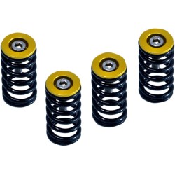 Σετ ελατηρίων συμπλέκτη DUCATI gold σετ από 6 ΑΛΛΑ 519-25-06090