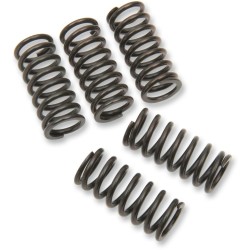 Σετ ελατηρίων συμπλέκτη SET OF 5 ΔΡΟΥΓΙ 501-63-05014