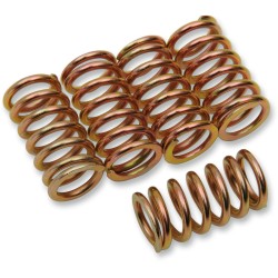 Σετ ελατηρίων συμπλέκτη SET OF 5 ΔΡΟΥΓΙ 501-56-05015 Σετ ελατηρίων συμπλέκτη SET OF 5 ΔΡΟΥΓΙ 501-56-05015