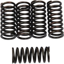 Σετ ελατηρίων συμπλέκτη SET OF 5 ΑΛΛΑ 501-40-05039 Σετ ελατηρίων συμπλέκτη SET OF 5 ΑΛΛΑ 501-40-05039