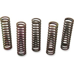 Σετ ελατηρίων συμπλέκτη SET OF 5 ΑΛΛΑ 501-59-05098