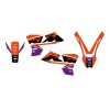 Σετ γραφικών DREAM 5 SX 01-04 BLACKBIRD RACING 2517AB