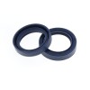Στεγανοποίηση πιρουνιού GI/RIE CENTAURO 111A134FK