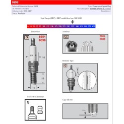 Μπουζί power sport 8698-1 CHAMPION 8698/T10 Μπουζί power sport 8698-1 CHAMPION 8698/T10