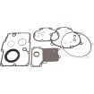 Σετ φλάντζες για αποκατάσταση μετάδοσης COMETIC C9151 Σετ φλάντζες για αποκατάσταση μετάδοσης COMETIC C9151 thumb