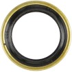 Στεγανοποίηση εξόδου γραναζιού 12077 COMETIC C9200F1 thumb