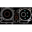 Σετ φλάντζες T/E KX450 96MM COMETIC C3696 Σετ φλάντζες T/E KX450 96MM COMETIC C3696 thumb
