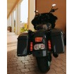 Probeam low profile led taillight smoked CUSTOM DYNAMICS PB-TL-LP-S Probeam low profile led taillight smoked CUSTOM DYNAMICS PB-TL-LP-S thumb