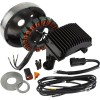 Σετ Εναλλάκτη 38A CYCLE ELECTRIC CE-61AR