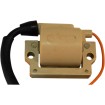 Πηνίο ανάφλεξης για YAMAHA EMGO 24-72400 thumb