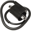 Πηνίο ανάφλεξης για YAMAHA EMGO 24-72403