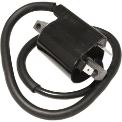 Πηνίο ανάφλεξης για YAMAHA EMGO 24-72403