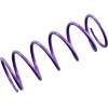 Πρωτεύον ελατήριο συμπλέκτη PURPLE EPI PERFORMANCE PATV4