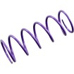 Πρωτεύον ελατήριο συμπλέκτη PURPLE EPI PERFORMANCE PATV4 thumb
