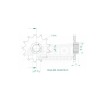 Μπροστινό γρανάζι 13T 520 ESJOT 50-32105-13 Μπροστινό γρανάζι 13T 520 ESJOT 50-32105-13 thumb