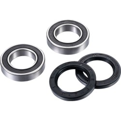 Σετ ρουλεμάν για άξονα RR ATV FACTORY LINKS ARA-Y-011 Σετ ρουλεμάν για άξονα RR ATV FACTORY LINKS ARA-Y-011