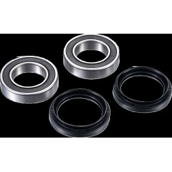 Σετ ρουλεμάν άξονα RR ATV FACTORY LINKS ARA-Y-025 Σετ ρουλεμάν άξονα RR ATV FACTORY LINKS ARA-Y-025