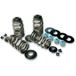 Σετ ελατηρίων βαλβίδων Econo Beehive FEULING PARTS 1120 Σετ ελατηρίων βαλβίδων Econo Beehive FEULING PARTS 1120