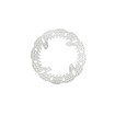 Δίσκος φρένου FIXED SHARK πίσω GALFER DF069HW Δίσκος φρένου FIXED SHARK πίσω GALFER DF069HW thumb