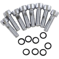Σετ βιδών custom replacement chrome natural ΑΛΛΑ P-61-13 Σετ βιδών custom replacement chrome natural ΑΛΛΑ P-61-13