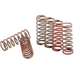 Σετ ελατηρίων συμπλέκτη hi-temp 6-set YAMAHA HINSON RACING CS216-6-0315 Σετ ελατηρίων συμπλέκτη hi-temp 6-set YAMAHA HINSON RACING CS216-6-0315