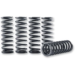 Σετ ελατηρίων συμπλέκτη hi-temp 5-set KAWASAKI HINSON RACING CS264-5-0409