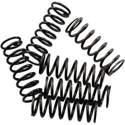 Σετ ελατηρίων συμπλέκτη hi-temp 6-set HONDA HINSON RACING CS189-6-0613 Σετ ελατηρίων συμπλέκτη hi-temp 6-set HONDA HINSON RACING CS189-6-0613
