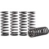 Σετ ελατηρίων συμπλέκτη HONDA HINSON RACING CS189-5-0613