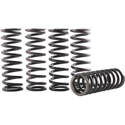 Σετ ελατηρίων συμπλέκτη YZF 450 23- HINSON RACING CS616-2301