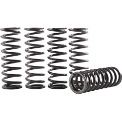 Σετ ελατηρίων συμπλέκτη hi temp YZ/WR 250 HINSON RACING CS641-6-1901 Σετ ελατηρίων συμπλέκτη hi temp YZ/WR 250 HINSON RACING CS641-6-1901