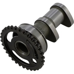 Εκκεντροφόρος άξονας εισαγωγής στάδιο 1 VERTEX 2218-1IN Εκκεντροφόρος άξονας εισαγωγής στάδιο 1 VERTEX 2218-1IN
