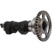 Μονοκόμματος Εκκεντροφόρος CAM HONDA VERTEX HC00053 Μονοκόμματος Εκκεντροφόρος CAM HONDA VERTEX HC00053 thumb